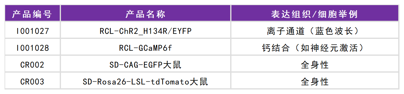 賽業(yè)生物工具鼠列表